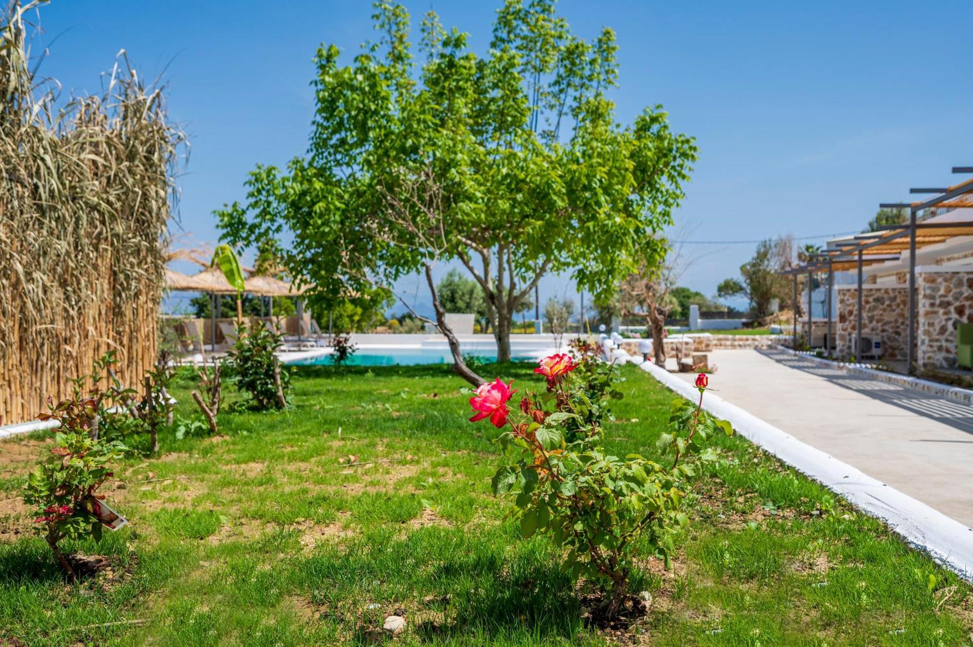 Homes Eva'S Garden, Poolside Cozy Havens In Kos Agios Dimitrios  ภายนอก รูปภาพ